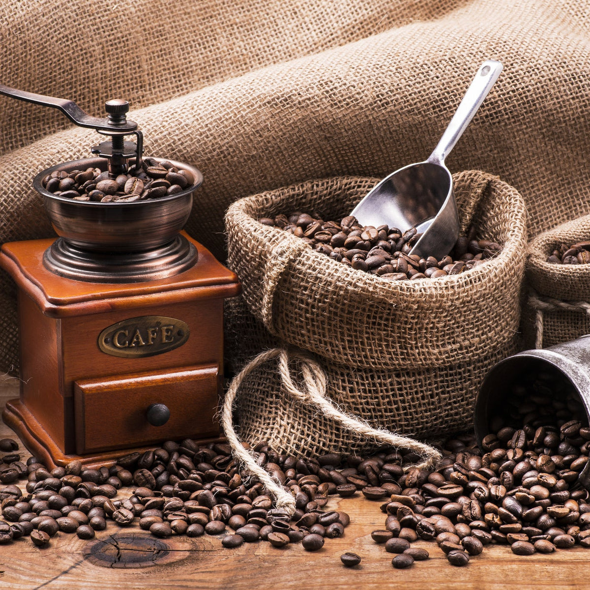 Best commercial coffee grinders NZ 2023 buying guide SilverChef