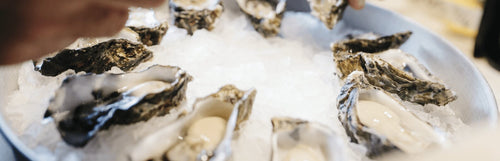 Fresh face on the Auckland seafood scene is owning the oyster game