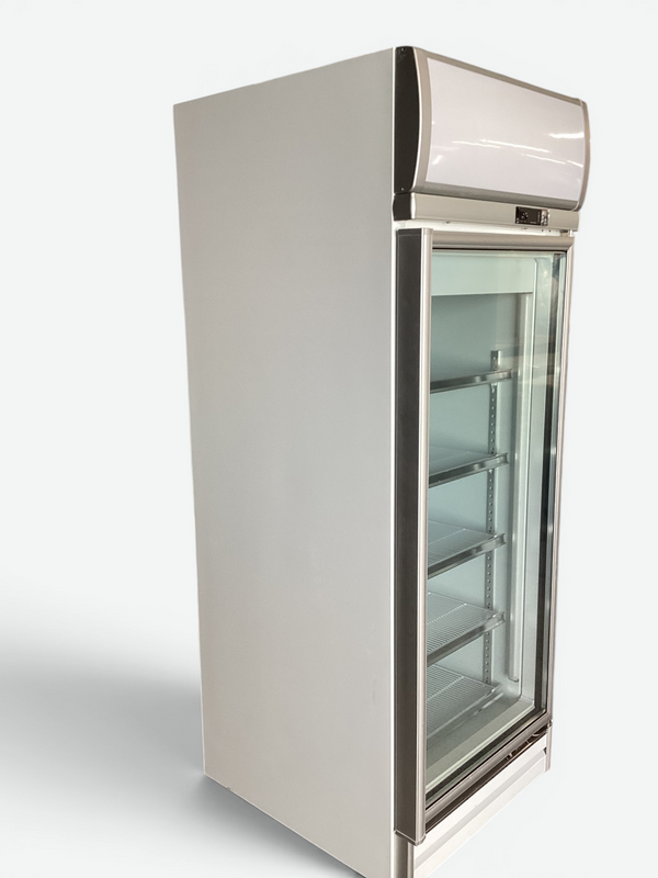 Delta RS-S1001F Upright Freezer