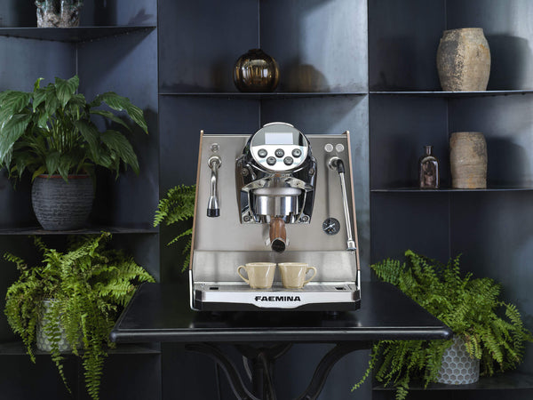 Faema Faemina - 1 Group Coffee Machine