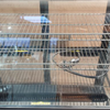 Polar CD230-A G-Series Countertop Fridge