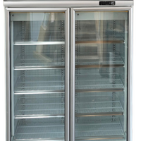 Delta RS-S2004 Showcase 2 Glass Door Freezer