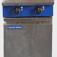 Blue Seal E44 Electric Fryer