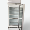 Delta RS-S1001F Upright Freezer