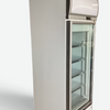Delta RS-S1001F Upright Freezer