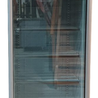 Delta RS-S1001F RH Hinge Showcase Freezer