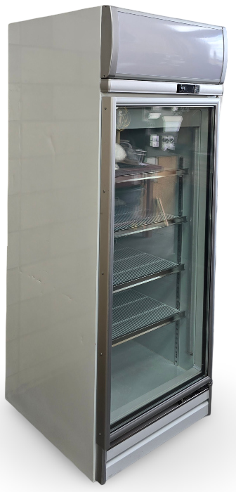 Delta RS-S1001F Showcase Freezer