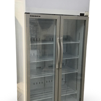 Skope TCE1000N Upright Fridge