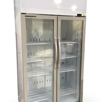 Skope TCE1000N Upright Fridge