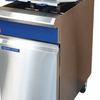 Blue Seal GT46 Fryer (NG)