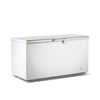 Thermaster BD520F - Chest Freezer