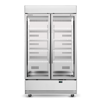 SKOPE ActiveCore BME1200N-A - Display Fridge
