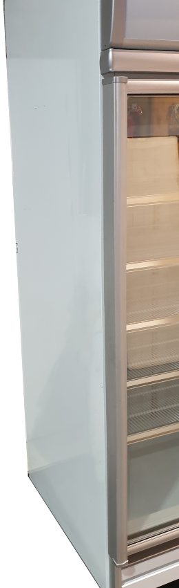 Delta Single Glass Door Vertical Freezer (3)